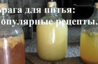 Брага для питья