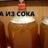 Брага из сока