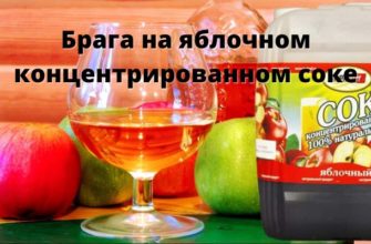 Брага на соке