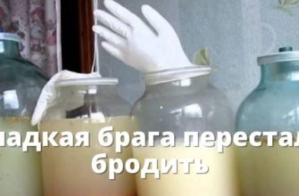 сладкая брага не бродить