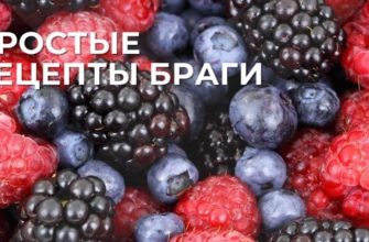 фруктовая брага