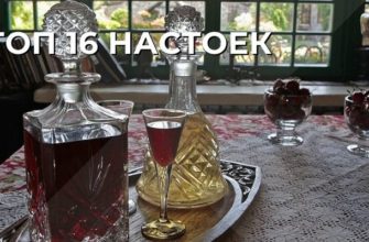Топ 16 настоек